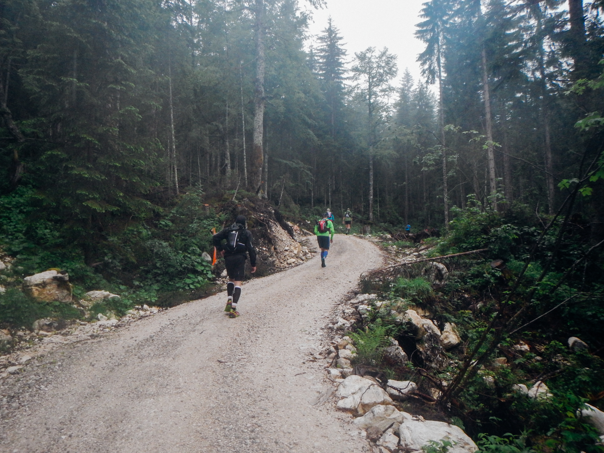 Die ersten 13 Kilometer sahen ungefähr so aus.