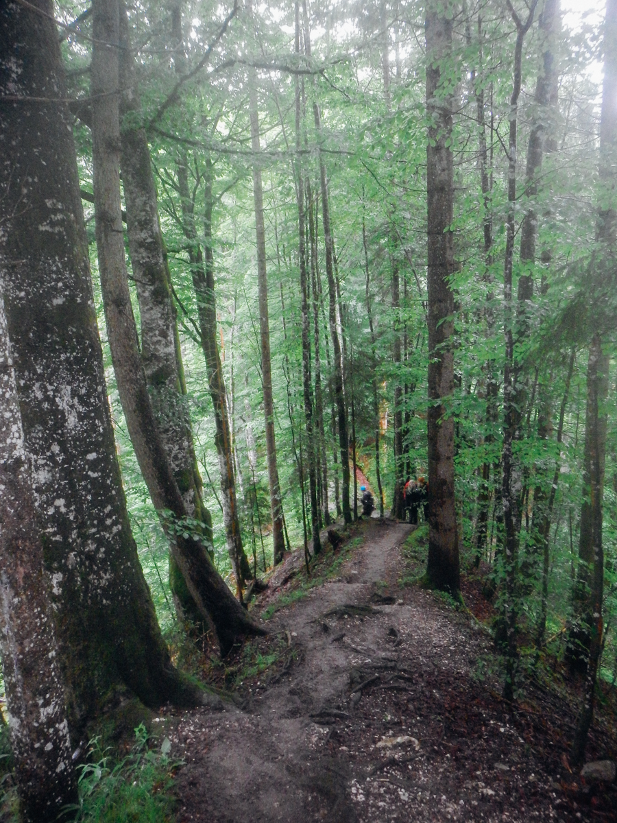 Und dann kam der erste Downhill.